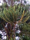 Photo 03