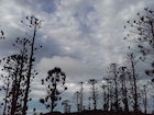 Photo 01