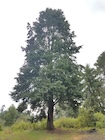 Photo 03