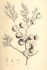 Photo 04