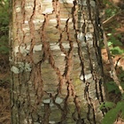 Photo 03