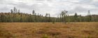 Photo 02