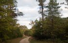 Photo 05