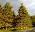 Photo 01
