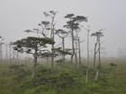 Photo 06