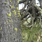Photo 09