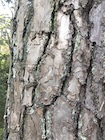 Photo 03