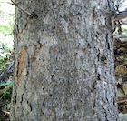 Photo 05