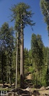 Photo 09