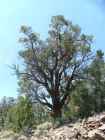 Photo 04