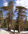 Photo 05