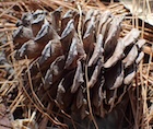 Photo 03