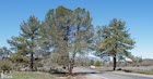 Photo 04