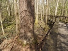 Photo 06
