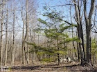 Photo 05