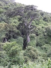 Photo 01