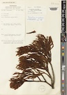Photo 01