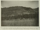 Photo 02