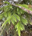 Photo 02
