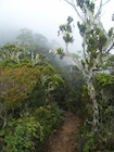 Photo 01