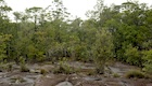 Photo 01