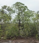 Photo 02