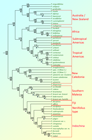 cladogram