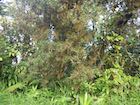 Photo 02