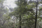 Photo 01