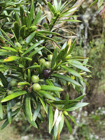 Photo 04