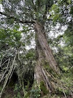 Photo 04