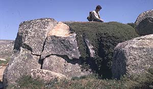 photograph
