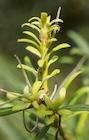 Photo 04