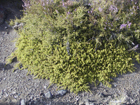 Photo 01