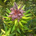Photo 03