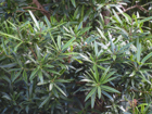 Photo 01