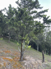 Photo 02