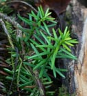 Photo 03