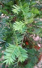 Photo 01