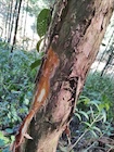 Photo 02