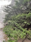 Photo 01