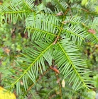 Photo 02