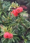 Photo 03