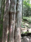 Photo 04