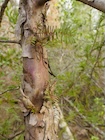 Photo 05