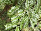 Photo 01