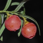 Photo 02