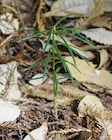 Photo 01