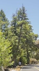 Photo 03